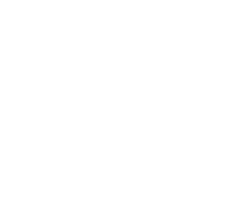 Pisco's — Peruvian drinks and food